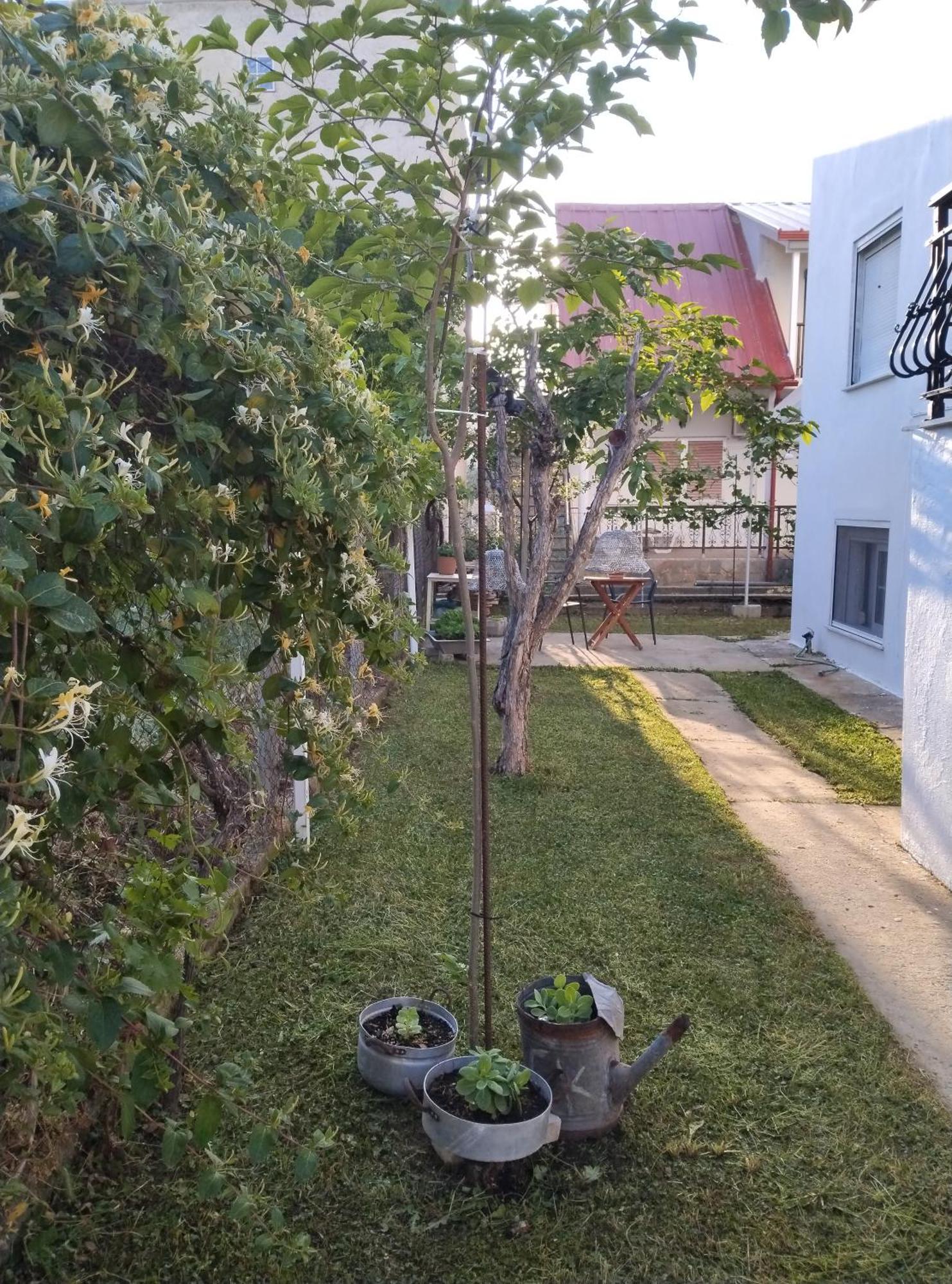 Θαλασσινή Αυρα Villa Vrasná Exteriör bild