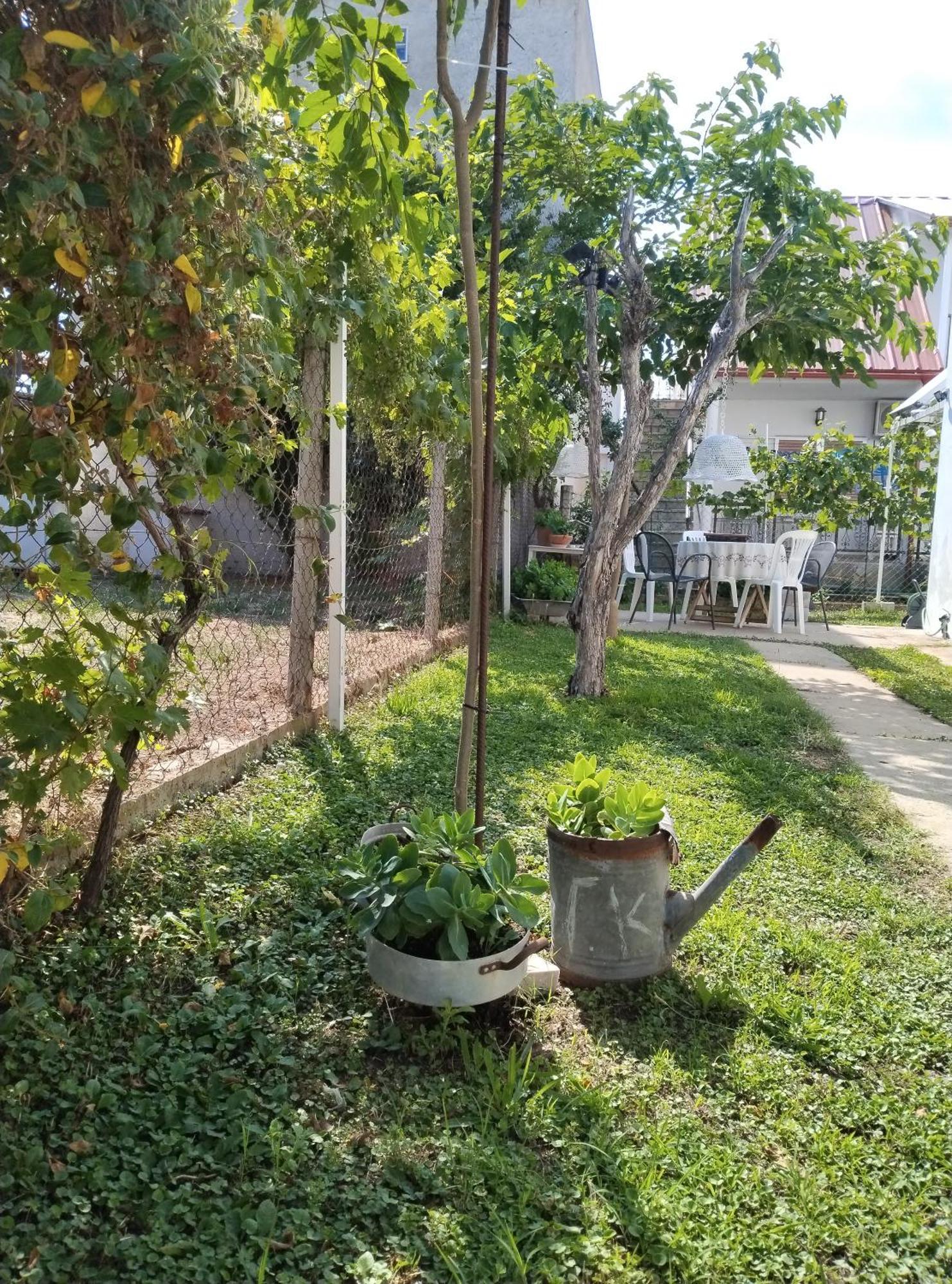 Θαλασσινή Αυρα Villa Vrasná Exteriör bild